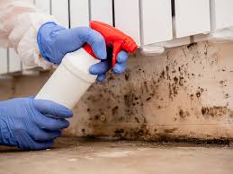 Best Emergency Mold Remediation  in Holmes Beach, FL